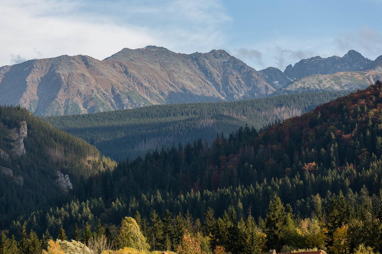 Willa Widokowa Wojnar Bed & Breakfast Zakopane Exterior foto